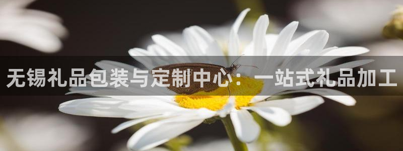 万事达娱乐63390好