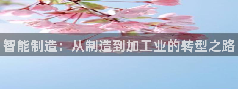 万事达娱乐股东