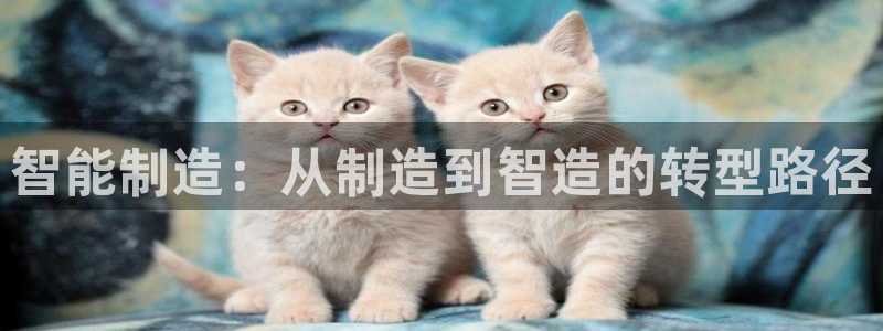 万事顺文化娱乐