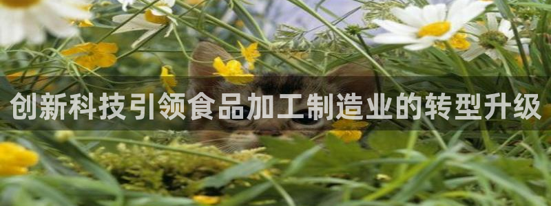 万事达娱乐唐善良