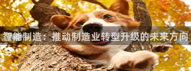 万事博娱乐场